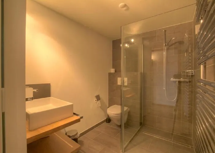 Orion 309 Au Centre A Avec Vue Sur Les Alpes Anzère