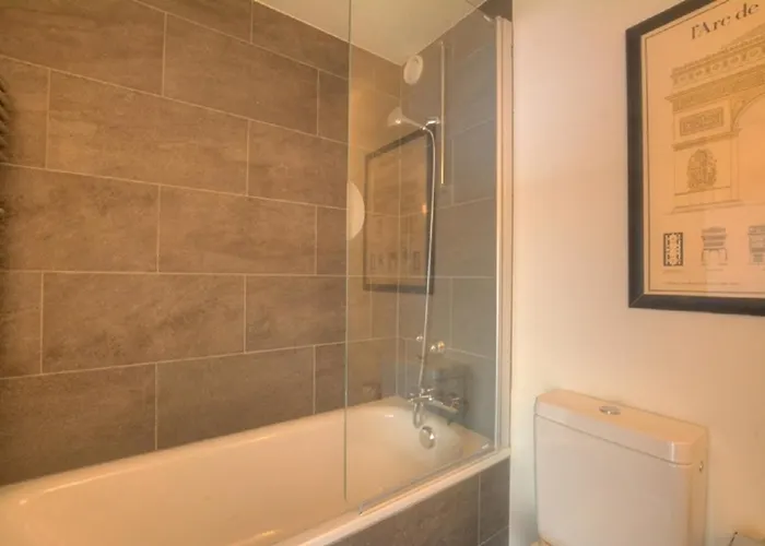 Orion 309 Au Centre A Avec Vue Sur Les Alpes